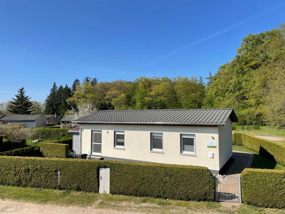 Ferienhaus Am Klosterwald Dargun Exterior foto